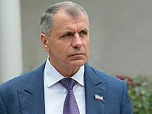 Владимир Константинов: Тысячи участников СВО получат землю в Крыму