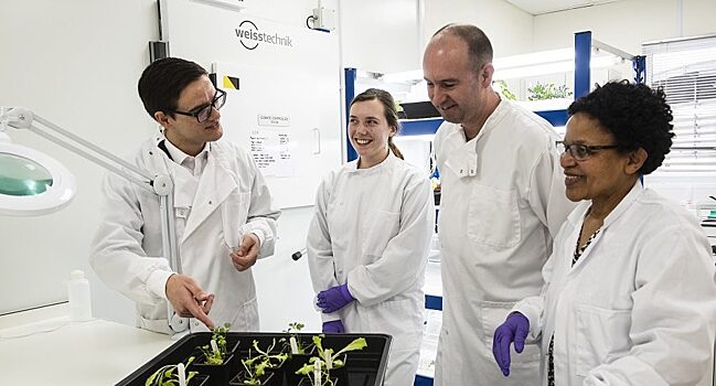 Британские ученые разрабатывают новые методы обработки семян