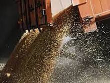 Украина продаст из Госрезерва шапки-ушанки и просроченное зерно