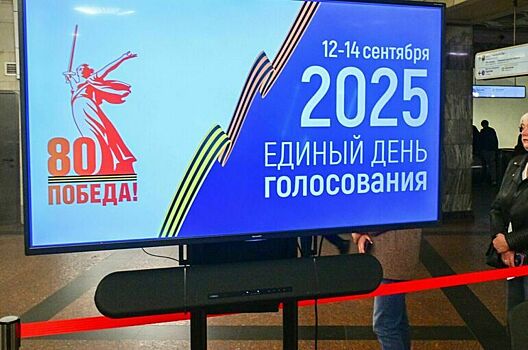 В ЦИК рассказали о фейках и манипуляциях во время Единого дня голосования — 2025