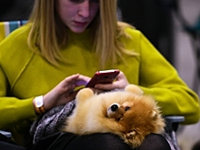 Риелторы начнут охотиться на покупателей в мессенджерах