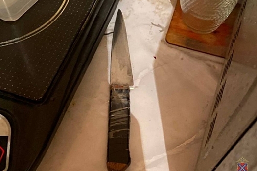 Под Волгоградом оперативники задержали женщину за нанесение ножевого ранения сожителю