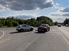 Двое детей пострадали при столкновении иномарок в Нижегородской области