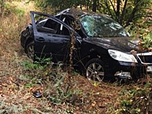 В Воронежской области в автокатастрофе на трассе М-4 «Дон» погиб 3-летний ребёнок