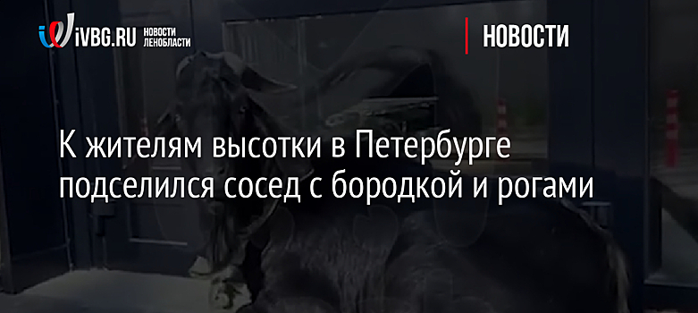 К жителям высотки в Петербурге подселился сосед с бородкой и рогами