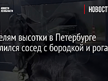К жителям высотки в Петербурге подселился сосед с бородкой и рогами