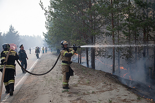 В еще одном регионе России объявили режим ЧС из-за природных пожаров