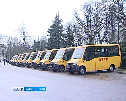 Школьный автопарк двенадцати районов области пополнился почти 30 автобусами