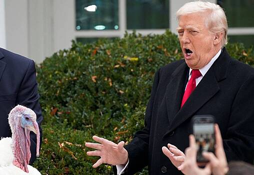 Трамп оценил роль Европы в урегулировании на Украине