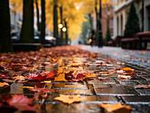 Пасмурная и прохладная рабочая неделя ждет нижегородцев