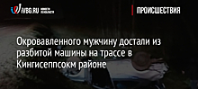 Окровавленного мужчину достали из разбитой машины на трассе в Кингисеппсокм районе