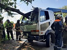На М-5 ветка дерева пробила стекло манипулятора, погиб человек