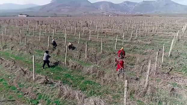 При содействии российских миротворцев началось проведение сельскохозяйственных работ в Карабахе