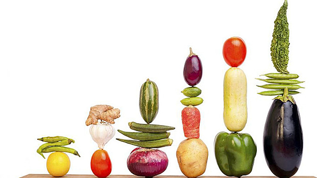 Рынок овощей в России. Чем можно компенсировать снижение внутреннего потребления в 2020