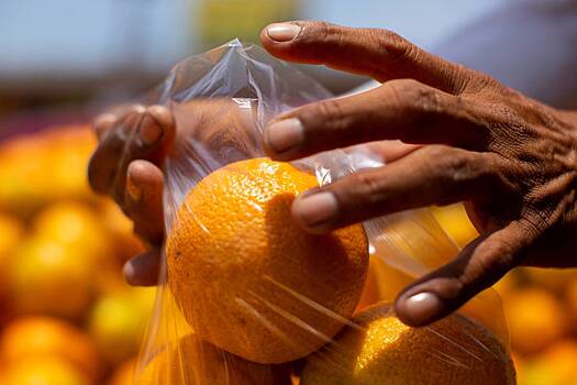 Россия резко сократила ввоз цитрусовых из Турции