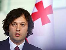 Власти Грузии захотели признать антиконституционной деятельность партии Саакашвили