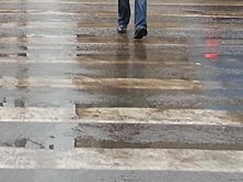 В Воронеже за месяц оштрафовали 89 водителей, не уступивших дорогу пешеходам