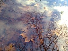 Экологический экстремизм и судьба российской энергетики