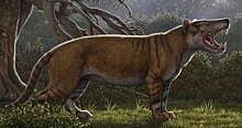 Найдены останки крупнейшего хищника Африки