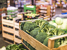 Медведев предложил бизнесу отдавать непроданные продукты на благотворительность