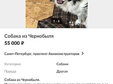 Убойные объявления о продаже товаров
