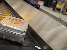 Прилетевший в Москву пассажир «Аэрофлота» ждет багаж уже 12 дней