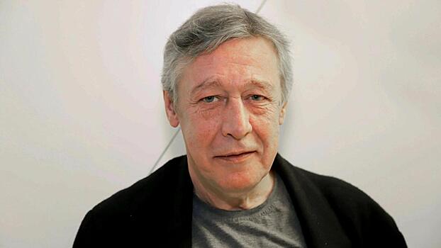 Стало известно, сядет ли Михаил Ефремов за руль после смертельного ДТП: подробности