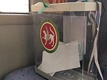 В Татарстане предложили проводить все выборы в течение нескольких дней