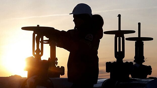 Польша нарастила закупки российского газа из-за аномальной зимы