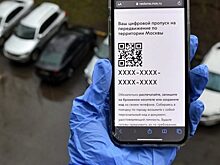 ГУЛАГ цифровой: поэт описал главные заблуждения россиян о пропусках в Москве