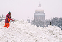 Суд избрал меру пресечения укравшим деньги на чистку снега в Петербурге