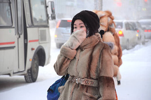 В Амурской области снизили транспортный налог
