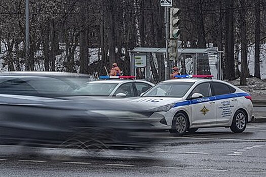 Неизвестный проник в дом к российской пенсионерке через курятник и задушил ее