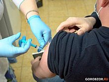 Власти района в Башкирии разыграли рулоны сена среди привитых от коронавируса