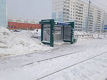 В Новосибирске прокуратура проводит проверку из-за украденного колпачка от ручки