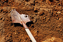 Житель Башкирии зарубил лопатой хаски тикток-блогерши, приехавшей в гости к его соседям