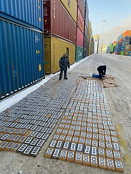 В Большой порт Петербурга прибыло более тонны кокаина