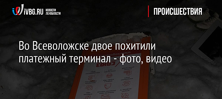 Во Всеволожске двое похитили платежный терминал - фото, видео