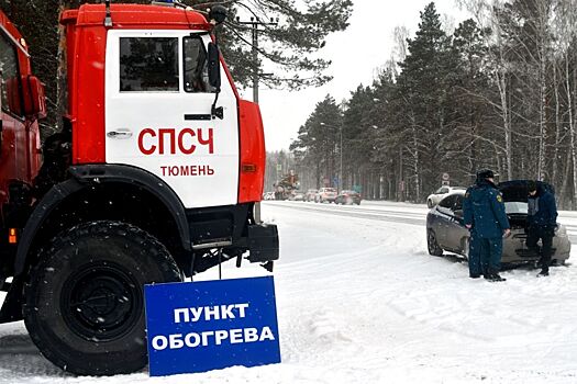 Тюменцы спасли костромича от смерти теплом и заботой