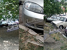 «Древопад» в Ростове: сухое дерево разбило сразу три машины