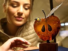 Как изменение законодательства скажется на нелегальном рынке янтаря