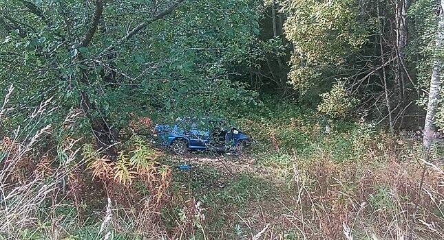 Трое человек пострадали из-за пьяного водителя в Костромской области