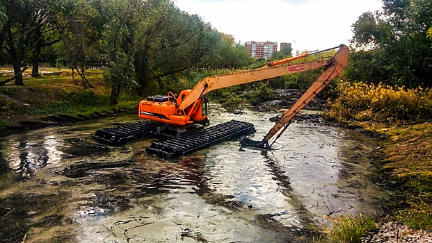 Курганские власти запросят у Москвы деньги на расчистку реки