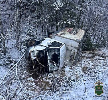 «Газель» съехала с дороги и разбилась