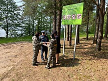 С начала действия особого противопожарного режима в лесах Ярославской области зафиксировано 30 нарушений