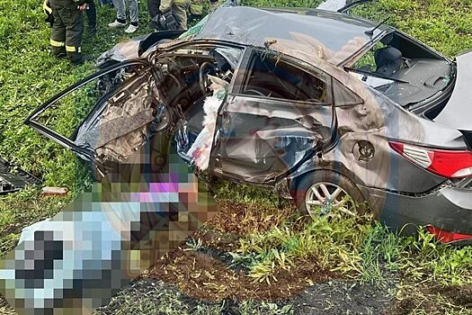 На М-12 "Восток" легковушка столкнулась с грузовиком и угодила в кювет: водитель погиб на месте