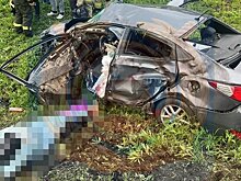 На М-12 "Восток" легковушка столкнулась с грузовиком и угодила в кювет: водитель погиб на месте