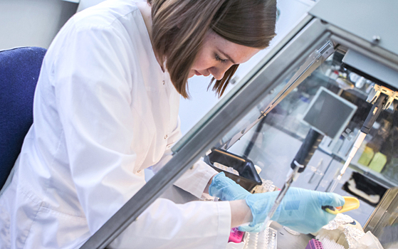 Светящийся белок поможет выявить риск меланомы