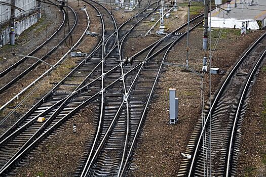 Под Волгоградом поезд переехал женщину