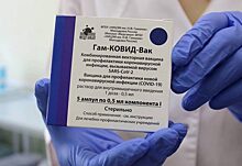 Главный врач из Москвы рассказал сотрудникам En+ Group о важности вакцинации